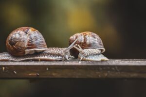 婚活アプリで本気の男性が気をつけるべきポイントは？